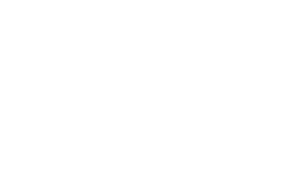The Palm Beach Post Logo